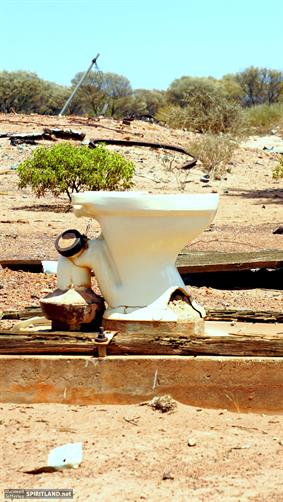 Abandoned Toilet, WA. 